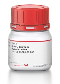 Poly-L-ornithine hydrobromide mol wt 30,000-70,000