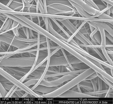 Polypropylene membrane filter 0.45 µm, 13 mm, hydrophilic, polypropylene