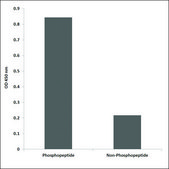 Anti-phospho-KIT (pTyr703) antibody produced in rabbit affinity isolated antibody