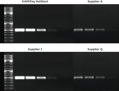 KAPA Taq PCR 试剂盒
