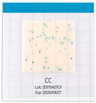 MC-Media Pad® CC for coliforms, ready-to-use, pack of 4 × 25 pieces