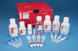 GenElute™ HP Plasmid Maxiprep Kit sufficient for 10 purifications