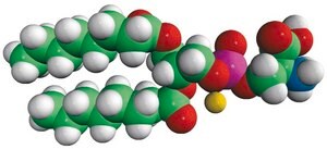 08:0 PS 1,2-dioctanoyl-sn-glycero-3-phospho-L-serine (sodium salt), powder