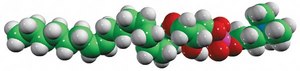 17:1 Lyso PC 1-(10Z-heptadecenoyl)-2-hydroxy-sn-glycero-3-phosphocholine, chloroform
