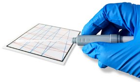 FLASH® Allergen-Indicator Protein Test BioControl, Rapid Protein Detection for HACCP Management