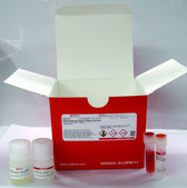 REDExtract-N-Amp™ 种子 PCR 试剂盒 sufficient for 100 extractions, sufficient for 100 amplifications