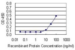 Monoclonal Anti-THY1 antibody produced in mouse clone 3F9, purified immunoglobulin, buffered aqueous solution