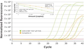 KAPA SYBR® FAST One-Step suitable for RT-PCR, 2 ×, Universal