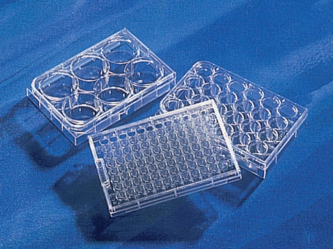 Corning&#174; Costar&#174; 超低附着多孔板 size 24&#160;well, flat bottom clear, pkg of (individually wrapped), pkg of (24/case), sterile, lid
