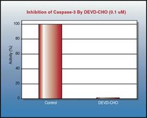Caspase 3 Colorimetric Activity Assay Kit, DEVD Caspase-3 Colorimetric Activity Assay Kits provide a simple &amp; convenient means for assaying the activity of caspases that recognize the sequence DEVD.