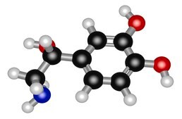 (±)-Norepinephrine (+)-bitartrate salt
