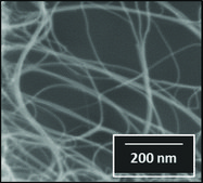 Carbon nanotube, few-walled carbon ≥95 %
