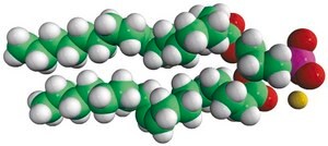 18:1 PA Avanti Research™ - A Croda Brand