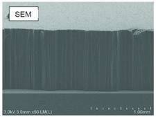 Carbon nanotube array, multi-walled vertically aligned on Si substrate, H 0.5 mm