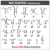 Sigma CRISPR dCas9-p300 Activator Expression Plasmid