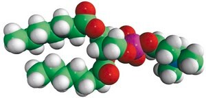 07:0 PC (DHPC) Avanti Research™ - A Croda Brand