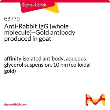 抗兔 IgG（全分子）-金 山羊抗 affinity isolated antibody, aqueous glycerol suspension, 10 nm (colloidal gold)