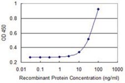 Monoclonal Anti-LATS1 antibody produced in mouse clone 3A7, purified immunoglobulin, buffered aqueous solution