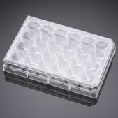 Corning® Falcon® Cell Culture Insert Companion Plate wells, 24, Tissue Culture (TC)-treated surface, lid, sterile