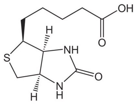 D（+）-生物素 Novabiochem&#174;
