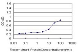 Monoclonal Anti-SOCS3 antibody produced in mouse clone 1E4, purified immunoglobulin, buffered aqueous solution