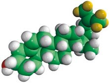 desmosterol-d6 Avanti Research™ - A Croda Brand