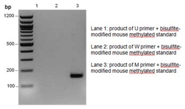 CpGenome Universal Methylated Mouse DNA Standard Set The CpGenome Universal Methylated Mouse DNA Standard contains universally methylated mouse genomic DNA isolated from male Balb/c mice &amp; enzymatically methylated at all CpGs by M.SssI methyltransferase.