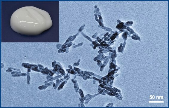 Hydroxyapatite aqueous paste, <50 nm, 15 wt. %