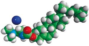 DC-Cholesterol HCl Avanti Research™ - A Croda Brand 700001P, powder
