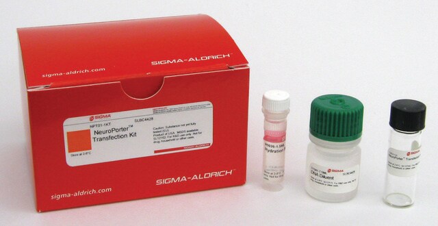 NeuroPorter&#8482; Transfection Kit Lipid formulation for nucleic acid transfections in neuronal and glial cells