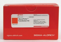 NeuroPorter™ Transfection Kit Lipid formulation for nucleic acid transfections in neuronal and glial cells
