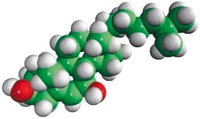 7β-羟基胆固醇 Avanti Research™ - A Croda Brand