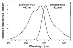 PKH67 Green Fluorescent Cell Linker Kit for General Cell Membrane Labeling Distributed for Phanos Technologies