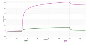 Anti-Syntaxin-1A Antibody, clone 2B21 ZooMAb® Rabbit Monoclonal recombinant, expressed in HEK 293 cells