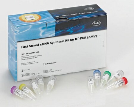 RT-PCR第一条链cDNA合成试剂盒（AMV） sufficient for 30&#160;reactions (including 5 control reactions), kit of 1 (10 components), suitable for RT-PCR, hotstart: no, dNTPs included