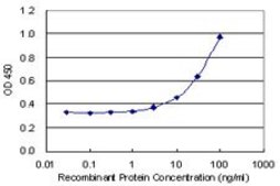 Monoclonal Anti-BMP2, (C-terminal) antibody produced in mouse clone 4B12, purified immunoglobulin, buffered aqueous solution