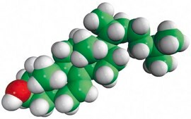 7-烯胆烷醇 Avanti Research™ - A Croda Brand