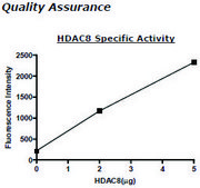 HDAC-8 human recombinant, expressed in baculovirus infected insect cells, ≥80% (SDS-PAGE)