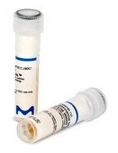 Bacillus spizizenii WDCM 00003 Vitroids™ 50,000-150,000 CFU mean value range, certified reference material, suitable for microbiology, Manufactured by: Sigma-Aldrich Production GmbH, Switzerland