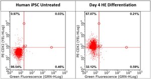 Hindgut Induction Medium Ready-to-use serum-free media used for the efficient differentiation of iPSC derived definitive endoderm (DE) cells to CDX-2+ hindgut endoderm cells.