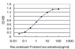 Monoclonal Anti-PLP1 antibody produced in mouse clone 4H8, purified immunoglobulin, buffered aqueous solution