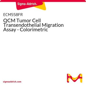 QCM Tumor Cell Transendothelial Migration Assay - Colorimetric