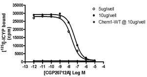 ChemiSCREEN Membrane Preparation Recombinant Human β1 Adrenoceptor Receptor Human beta 1 GPCR membrane preparation for Radioligand binding Assays &amp; GTPγS binding.