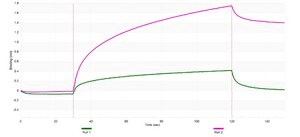 Anti-RANKL/TNFSF11 Antibody, clone 1H17 ZooMAb® Rabbit Monoclonal recombinant, expressed in HEK 293 cells