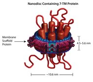 Membrane Scaffold Protein 1D1 recombinant, expressed in E. coli