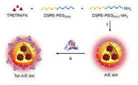 LuminiCell Tracker NIR- Cell Labeling Kit