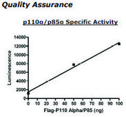 PI3 kinase (p110a/p85a) Active human recombinant, expressed in baculovirus infected insect cells, ≥80% (SDS-PAGE)