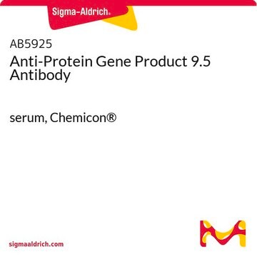 Anti-Protein Gene Product 9.5 Antibody serum, Chemicon®