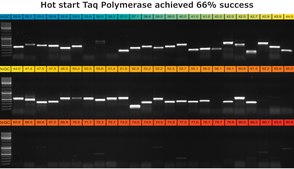 KAPA2G Robust HotStart ReadyMix 2 × ( contains 2 mM MgCl2 at 1×)