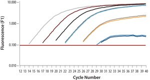SYBR® Green Quantitative RT-qPCR Kit One step SYBR® Green RT-qPCR with MMLV &amp; hot-start Taq DNA Polymerase
